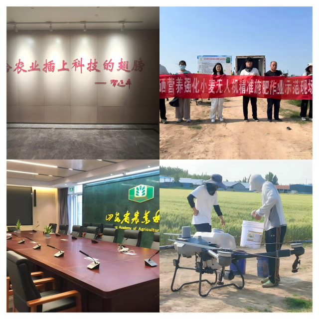 20240930172768035496306821.png WPS拼图0.png