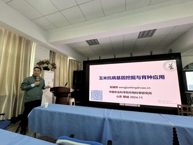 20241111173132646992102091.png 图片3.png