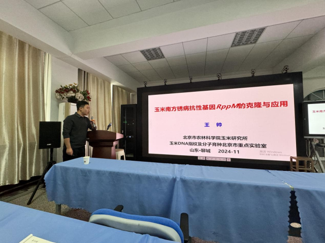 20241111173132649453904713.png 图片1.png