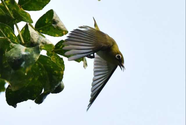 20241112173140023258906447.png 图片2.png