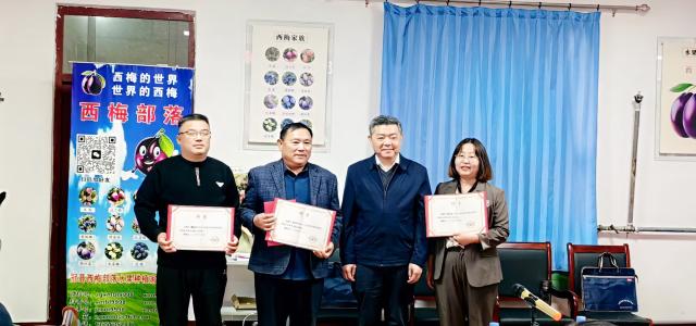 20241128173277399928001016.jpg 1.jpg