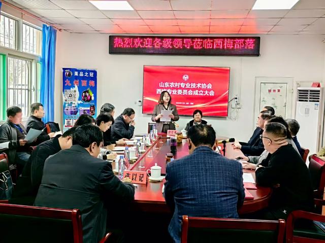 20241128173277400447902632.jpg 2.jpg