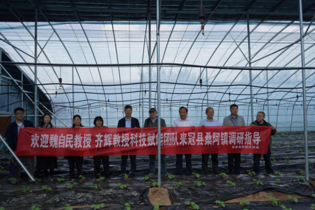 20241212173396525649203466.png 图片1.png