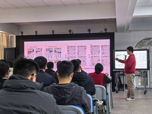 20241216173431239769000524.png 图片1.png