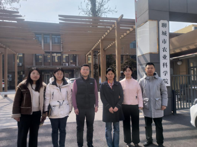 20250310174156662663909489.png 图片2.png