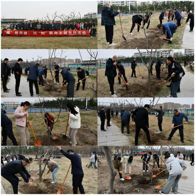 20250317174219290093301488.png WPS拼图0(1).png