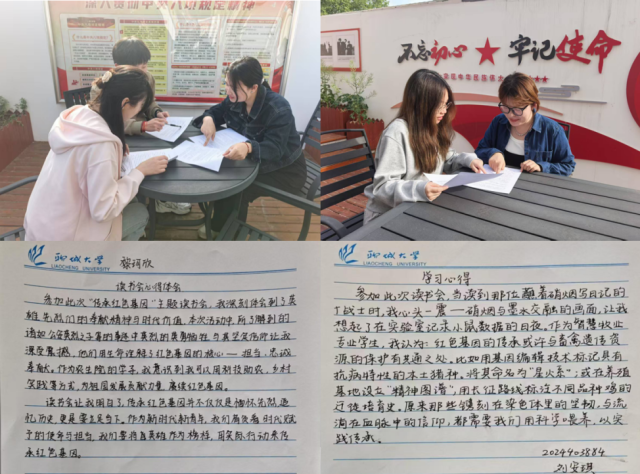 20250428174580273765905569.png 图片3.png