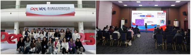 20250513174710480058908836.png WPS拼图0(1).png