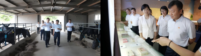 20250627175101902369503492.png WPS拼图0.png