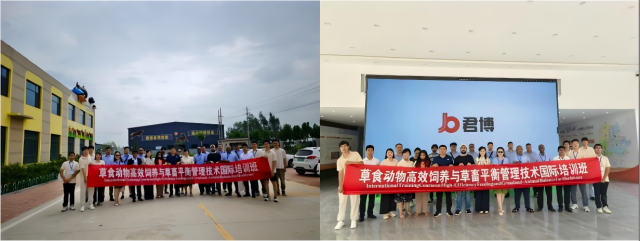 20250723175325763202903821.png WPS拼图0.png