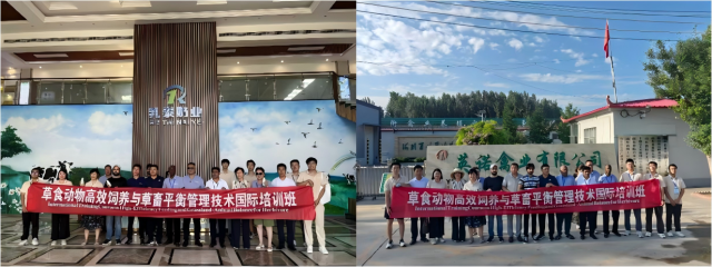 20250723175325773120706756.png WPS拼图0.png