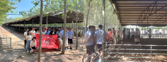 20250728175367433491004006.png WPS拼图0.png