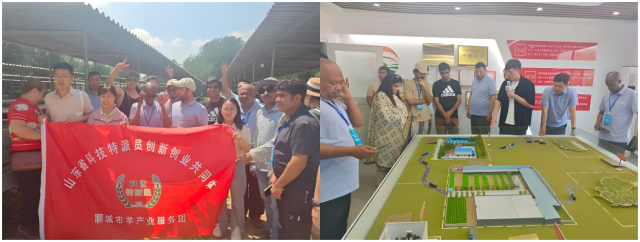 20250728175367437165207817.png WPS拼图0.png