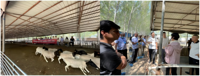 20250729175374930324301310.png WPS拼图0.png