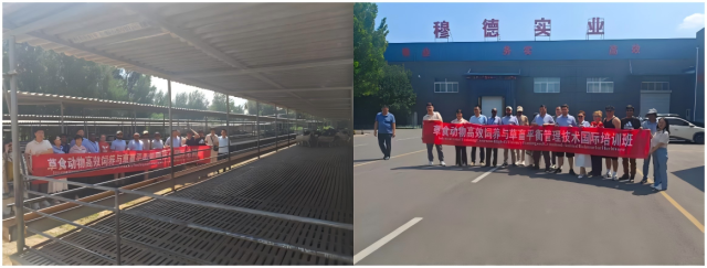 20250729175374933893404372.png WPS拼图0.png