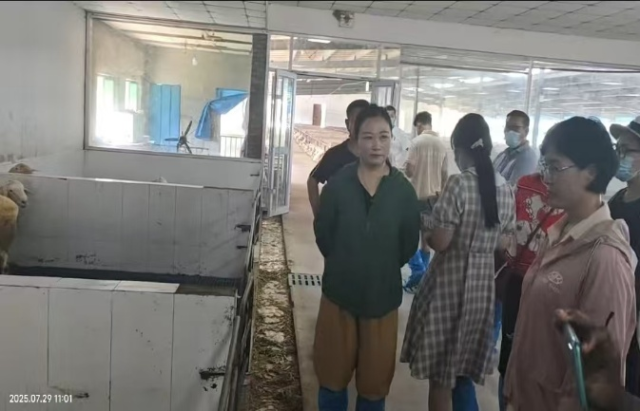 20250731175392603392503373.png 图片3.png