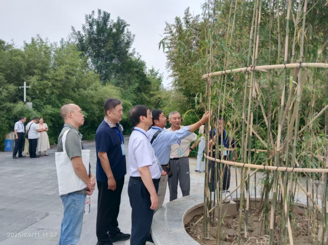 20250914175780560885704269.png 图片3.png