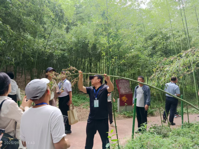 20250914175780574019108103.png 图片4.png