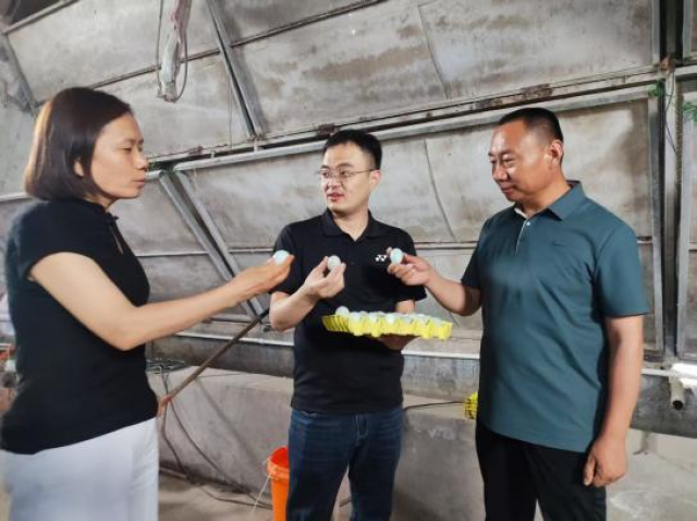 20251013176032353650304719.png 图片6.png