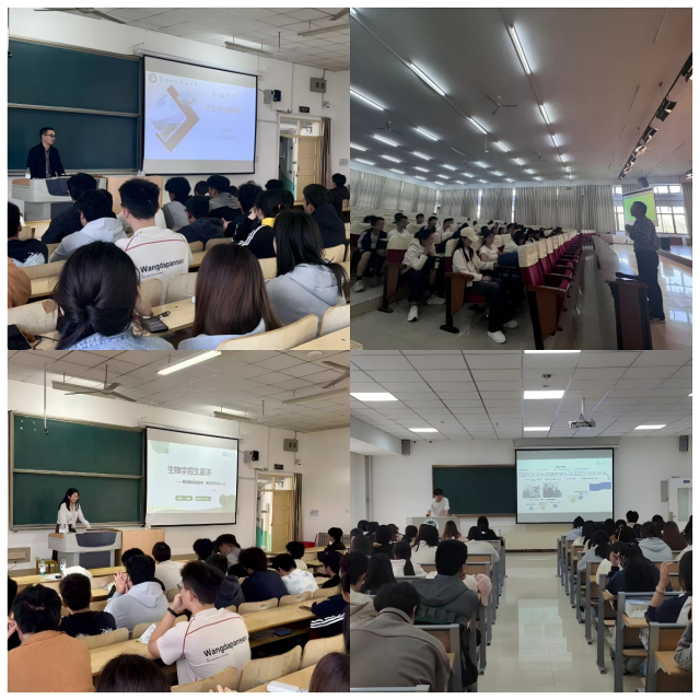 20251017176066535074201458.png WPS拼图0.png