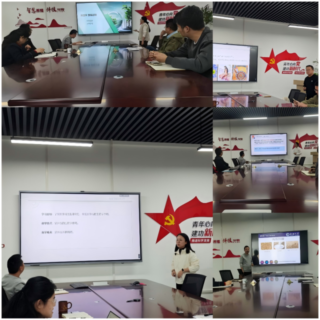 20251027176154930317308481.png WPS拼图0.png