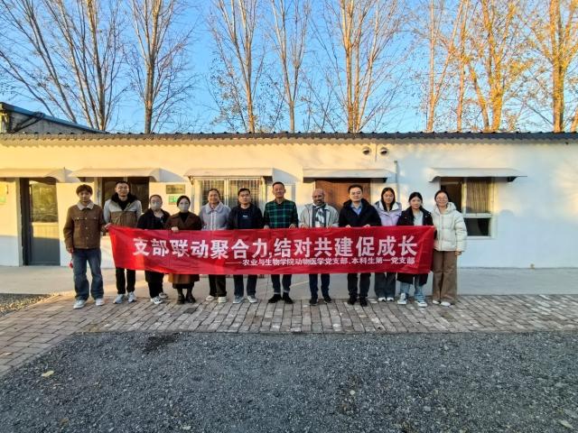 20251120176360311970901954.jpg 图片1.jpg